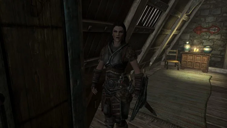 Housecarls, one of the best followers in Skyrim