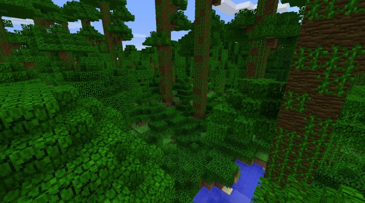 The Jungle Minecraft Biome