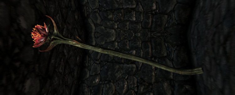 Sanguine Rose, one of the best staves in Skyrim
