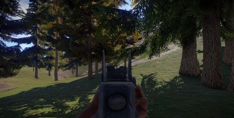 Thompson, one of the best guns in Rust