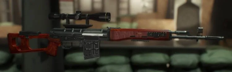 SVD, one of the best marksman rifles in The Divison