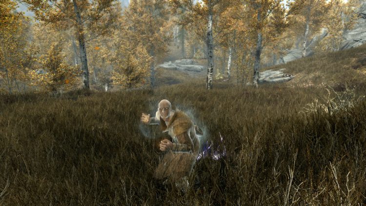 Summon Arniel's Shade, one of the best conjuration spells in Skyrim