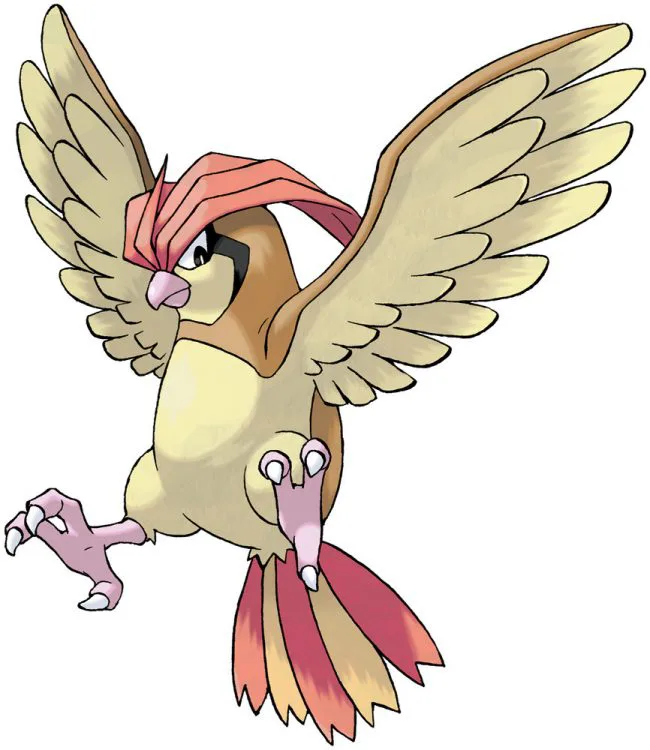 Pidgetto, one of the best Flying type Pokemon in Pokemon Let's Go