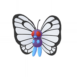 Butterfree, one of the cutest Pokemon in pokemon Let's Go Pikachu/Eevee
